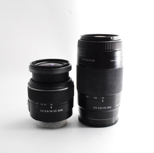 Sony Digital Slrs 65 W