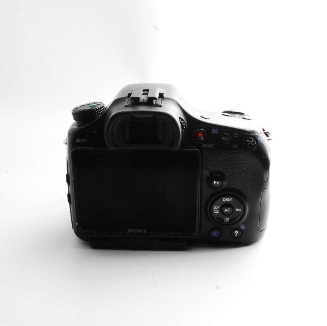 Sony Digital Slrs 65 W