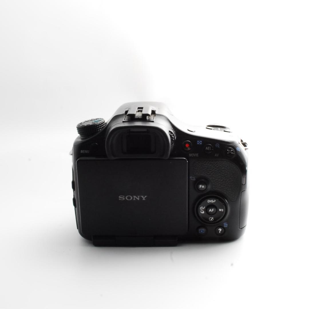 Sony Digital Slrs 65 W