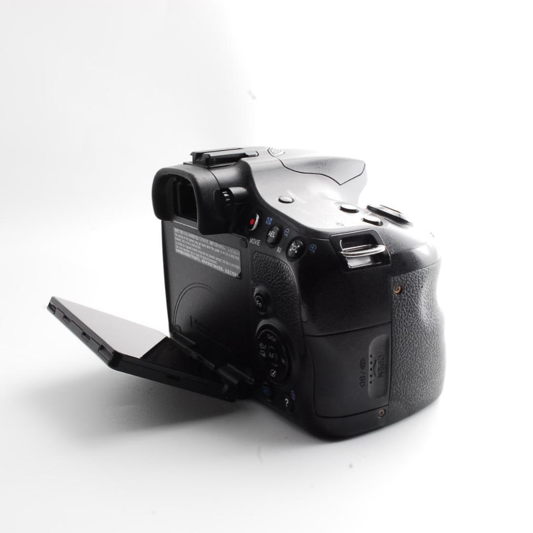 Sony Digital Slrs 65 W