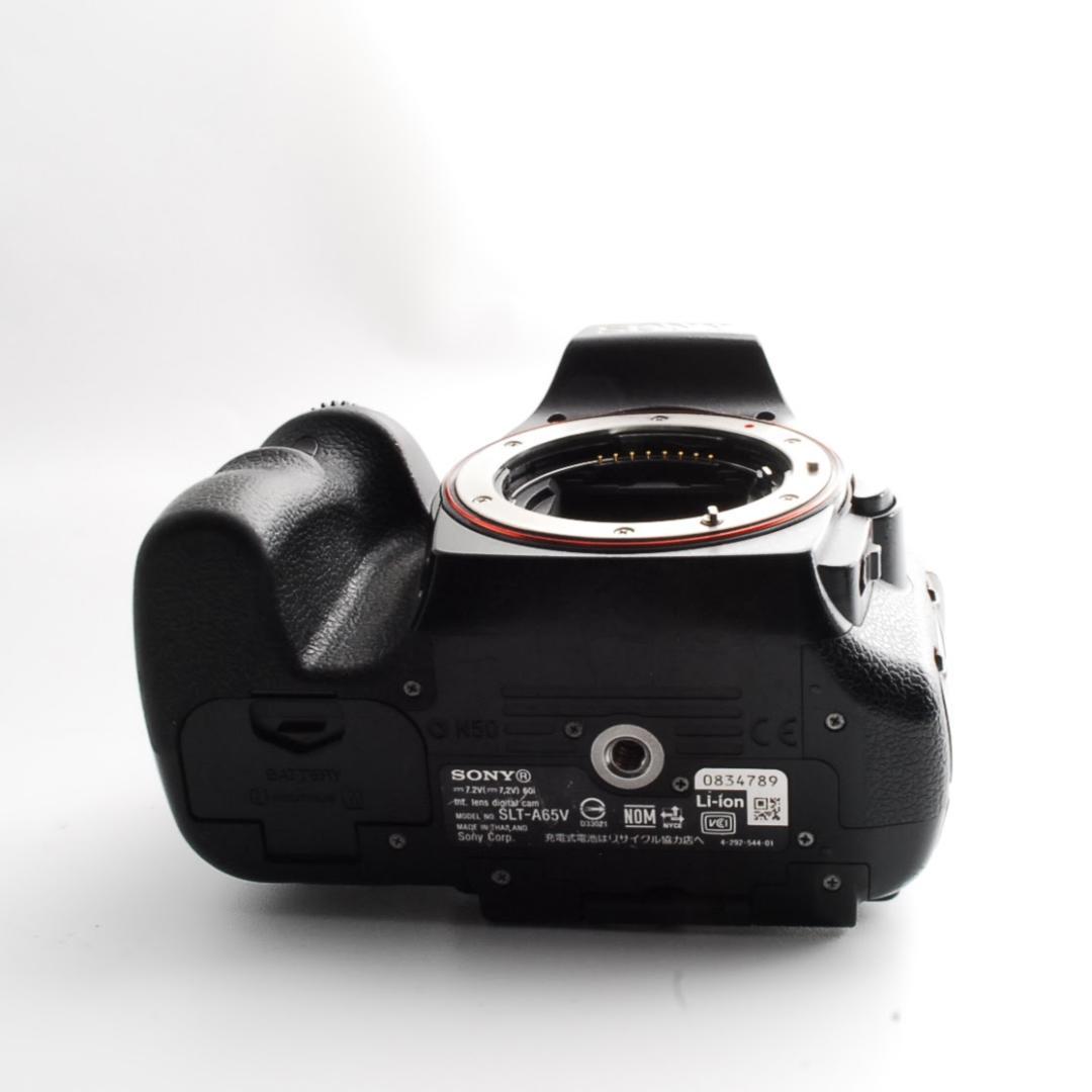 Sony Digital Slrs 65 W