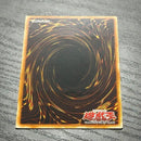 Yu-Gi-Oh! Ocg Duel Monsters (Japanese) 1St