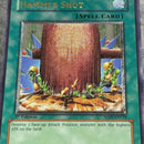 Yu-Gi-Oh! Ocg Duel Monsters (Japanese) 1St