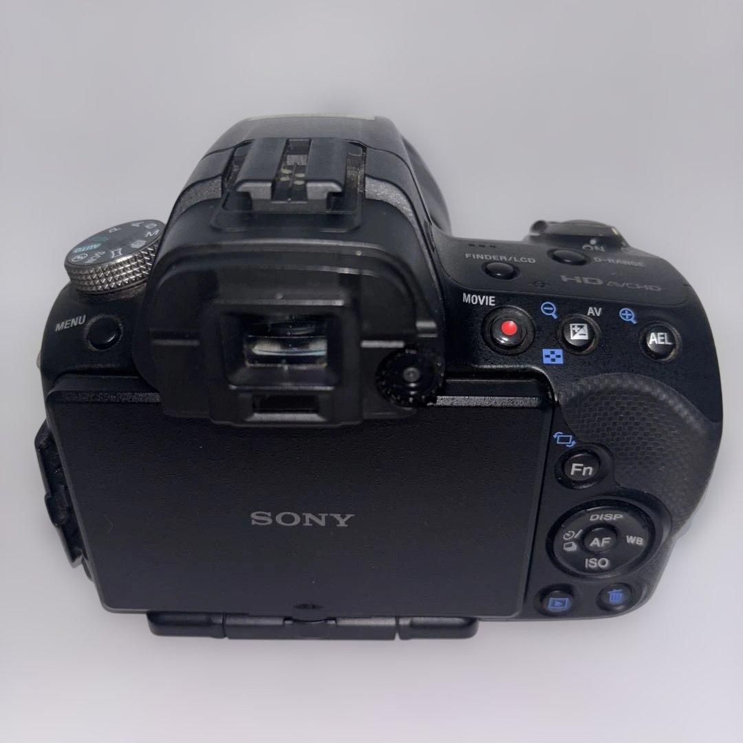 Sony Digital Slrs 55