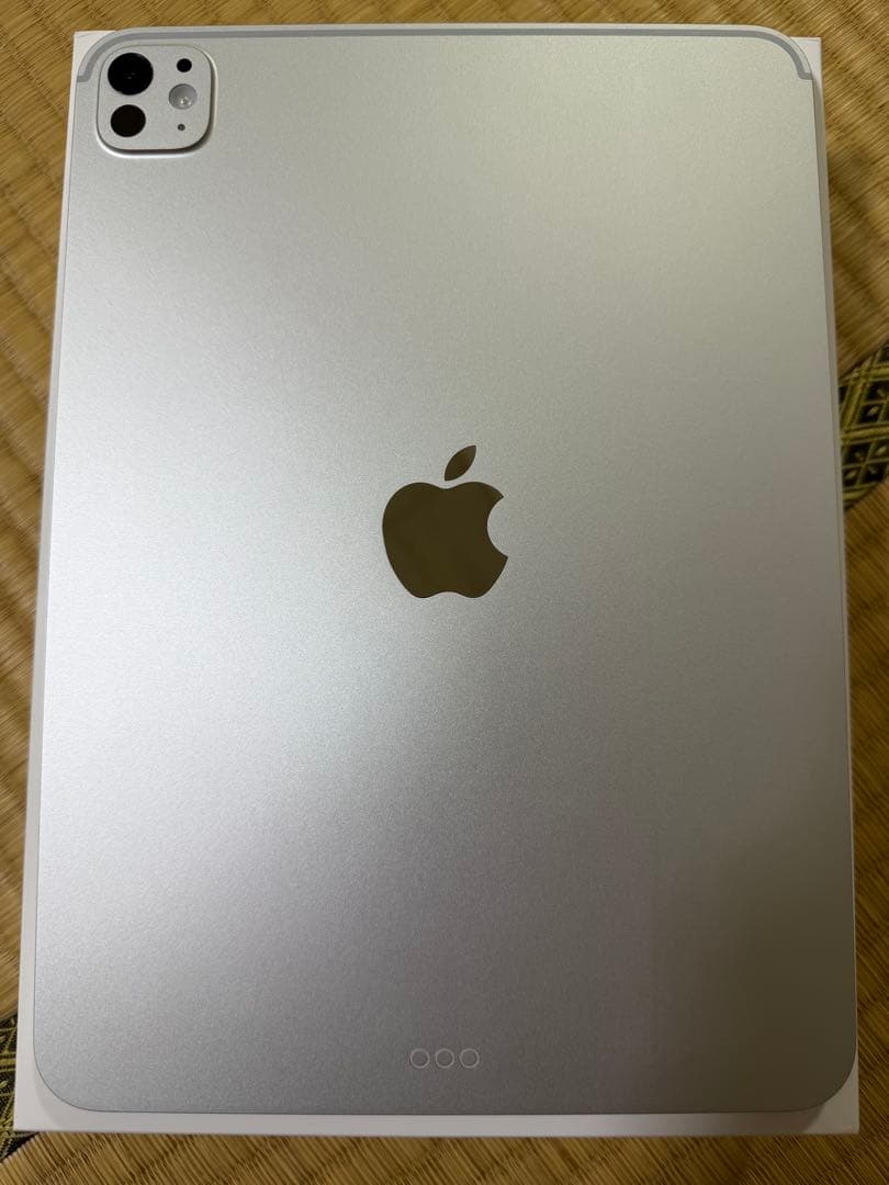 Apple Ipads Ipad Pro11 M5