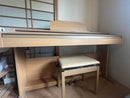 Roland Keyboard Electronic Piano