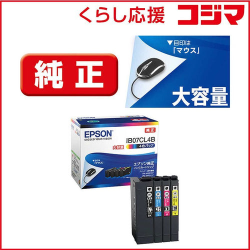 Epson Ink Cartridge/Refilled Ib07Cl4B