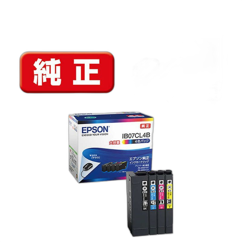 Epson Ink Cartridge/Refilled Ib07Cl4B