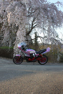 Motorcycle Frames Xjr400 4Hm