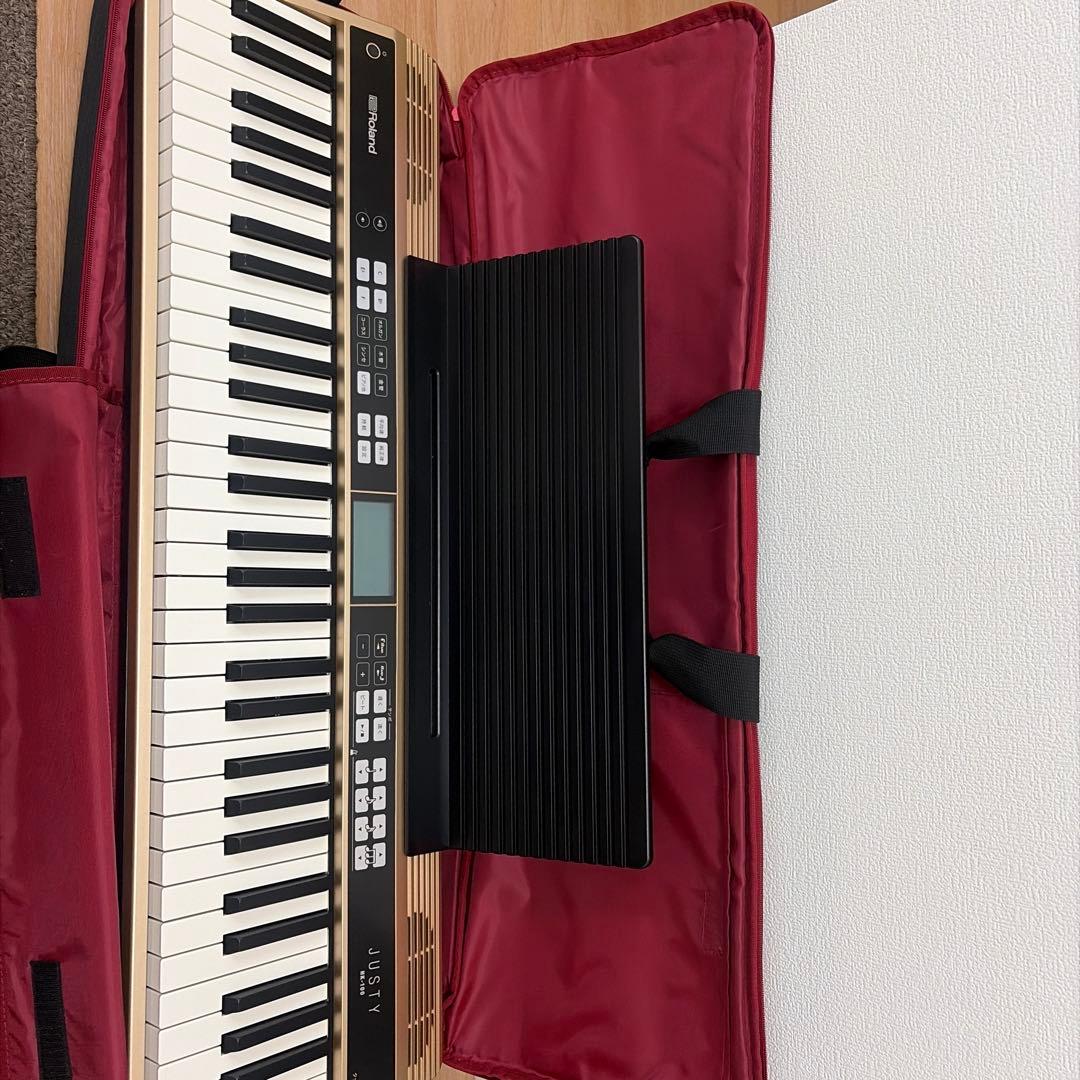 Roland Keyboards Digital Pianos Hk-100