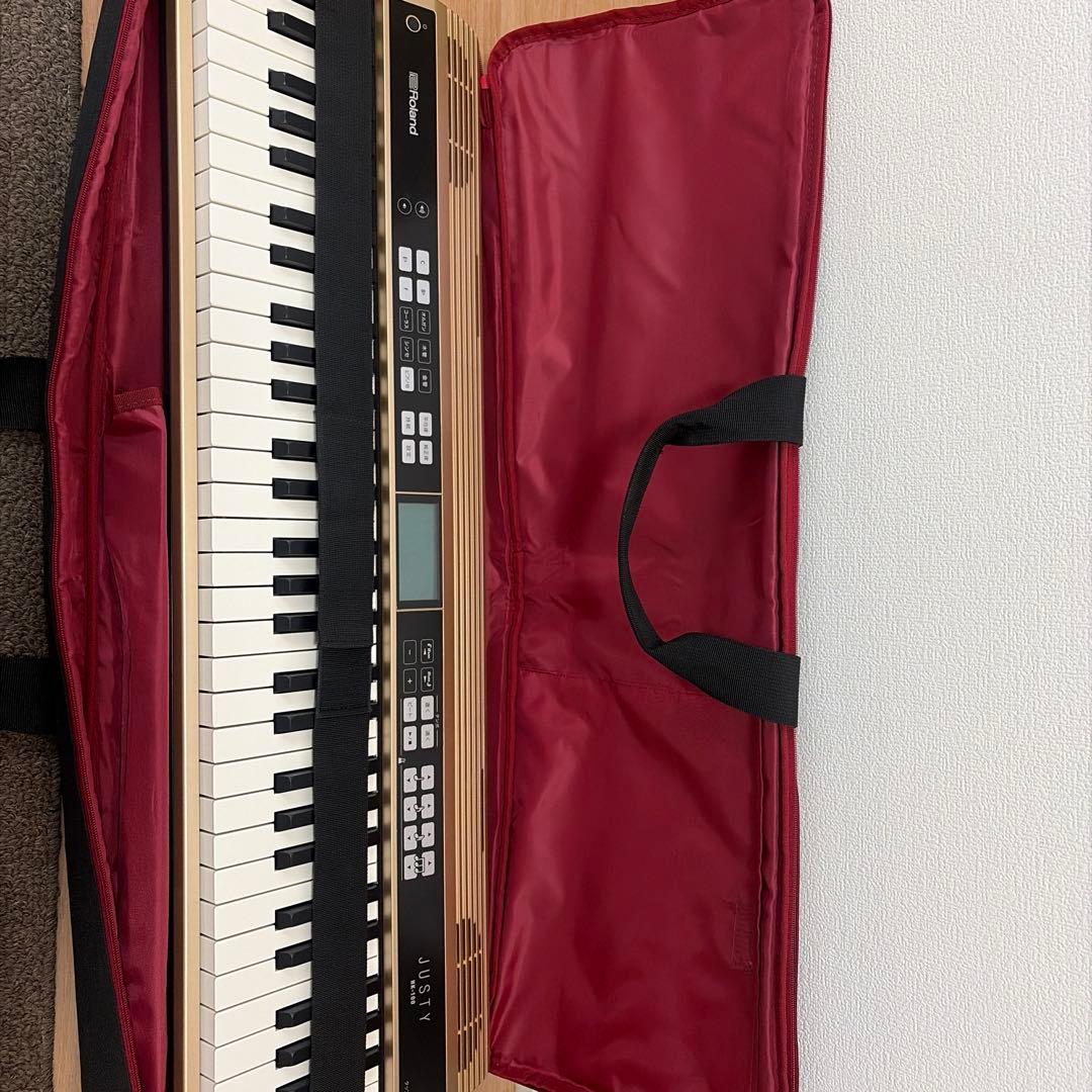Roland Keyboards Digital Pianos Hk-100