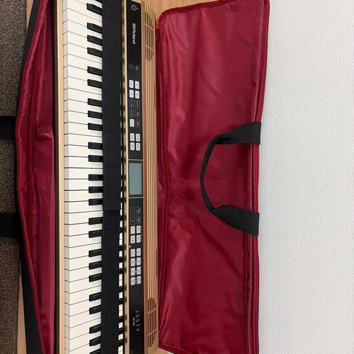 Roland Keyboards Digital Pianos Hk-100