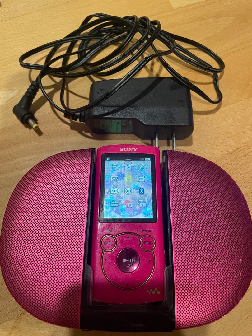 Sony Digital Audio Player