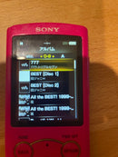 Sony Digital Audio Player