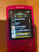 Sony Digital Audio Player