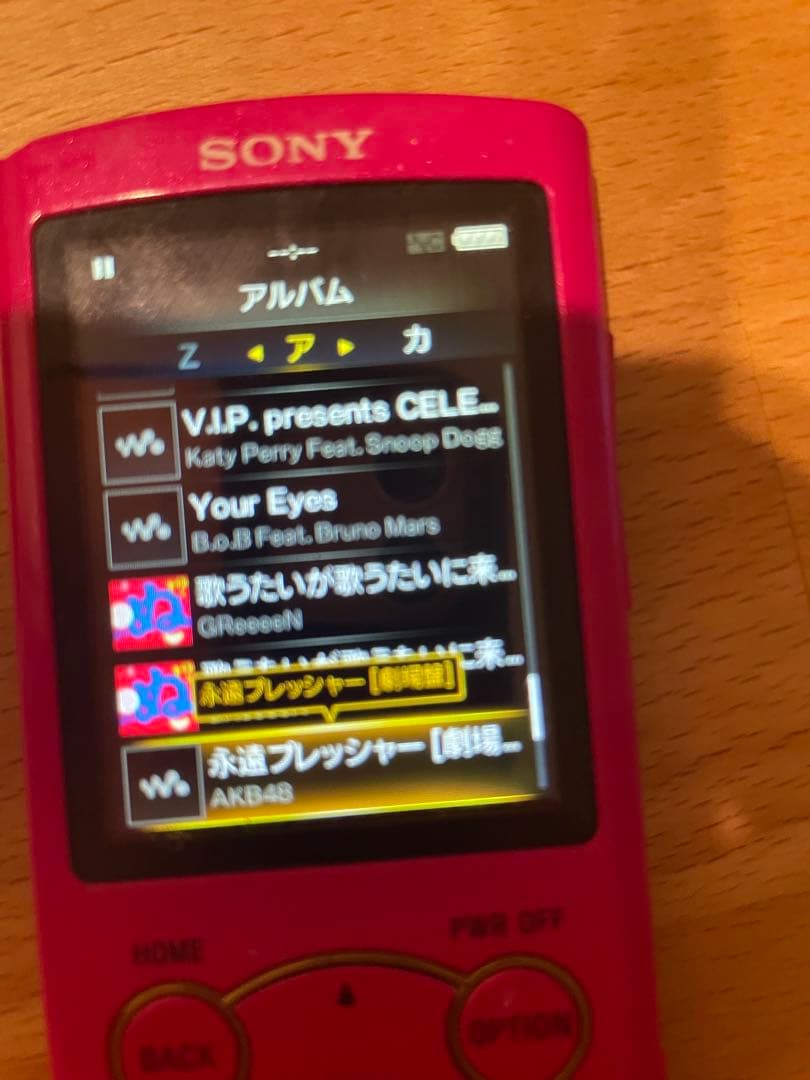 Sony Digital Audio Player