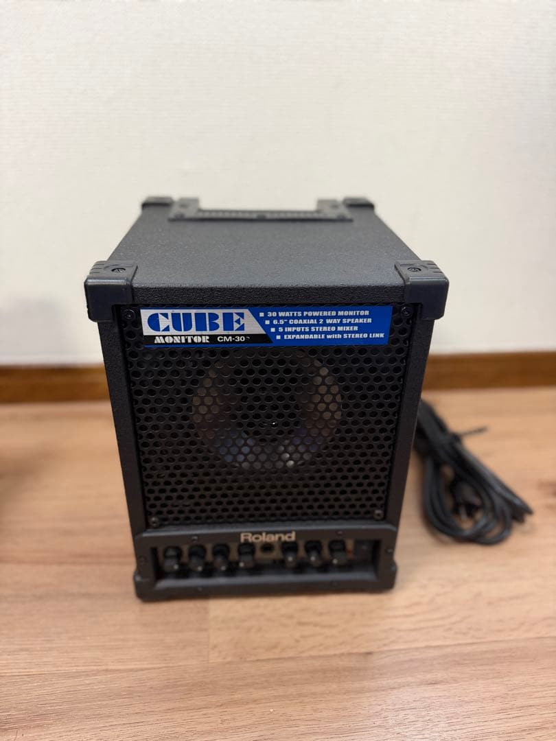 Roland Guitar Amplifiers Cm-30