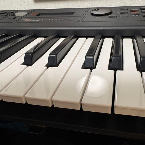 Other Yamaha Mx49
