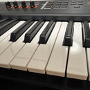 Other Yamaha Mx49