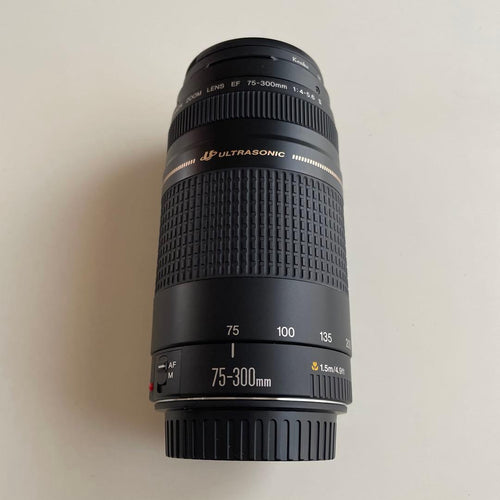Canon Lens (Zoom)