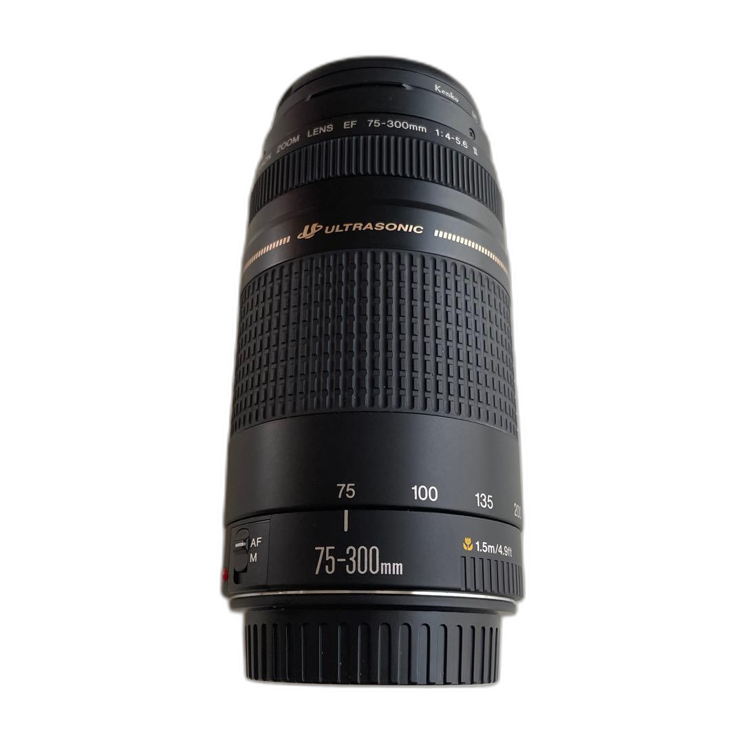 Canon Lens (Zoom)