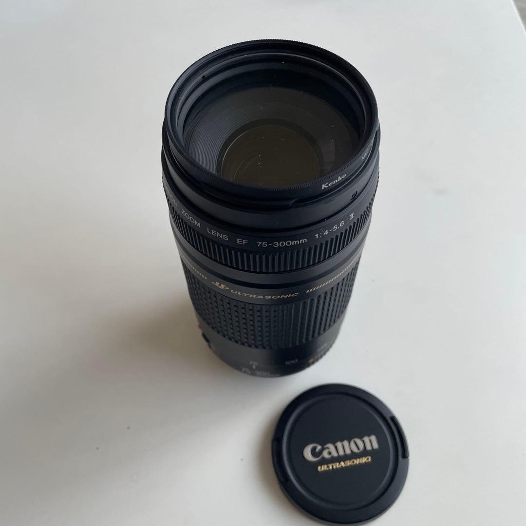 Canon Lens (Zoom)