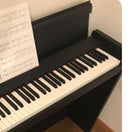 Keyboard Electronic Piano Korg Lp-380