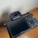 Sony Mirrorless Interchangeable Lips 7 Ii