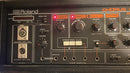 Guitar Effects Units Roland Re-501