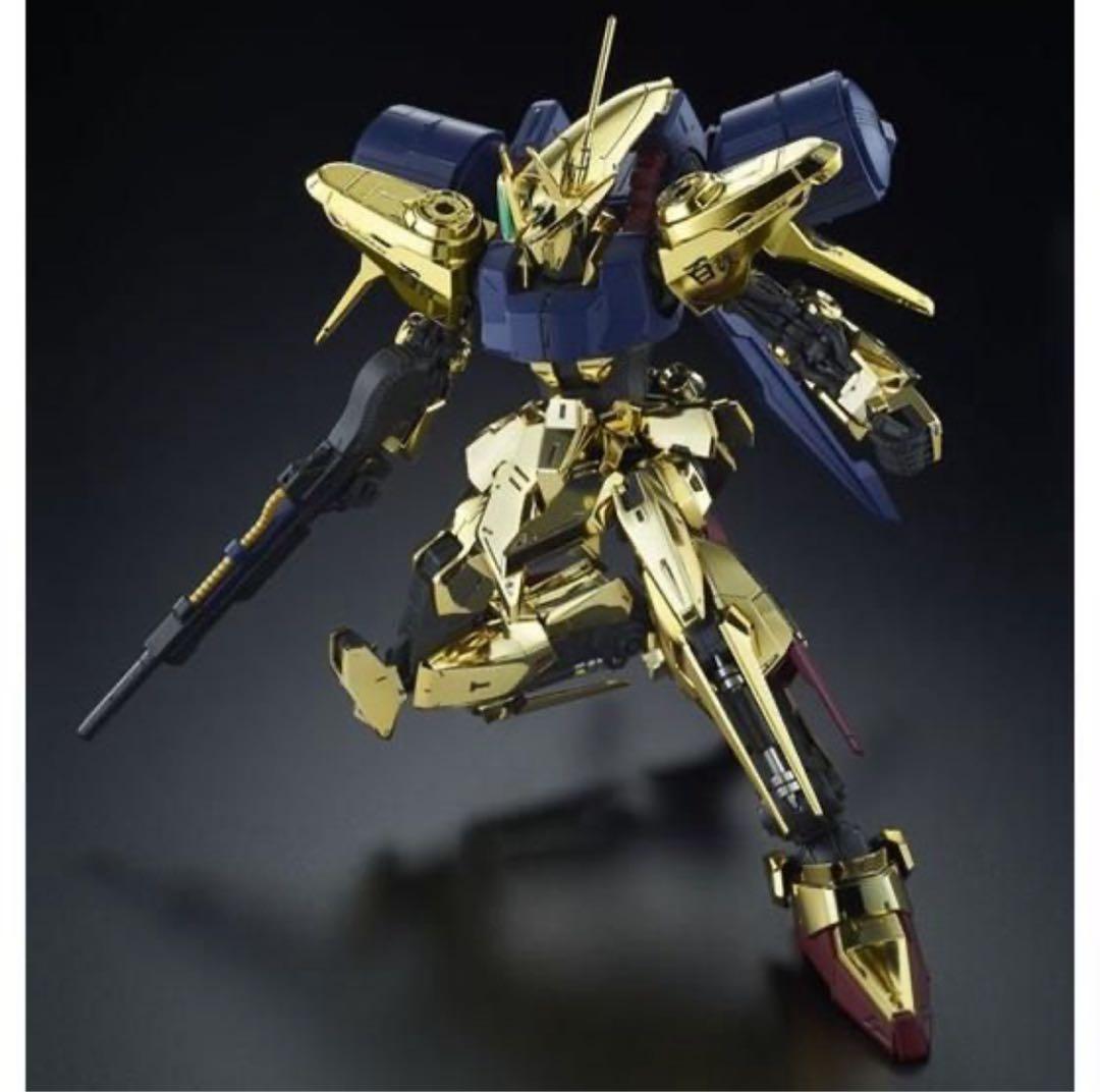 Mg (Master Grade) 1/100 Z-Msv