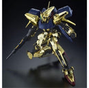 Mg (Master Grade) 1/100 Z-Msv