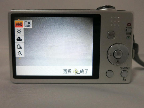 Panasonic Compact Digital Cameras Lumix Dmc-Fh5