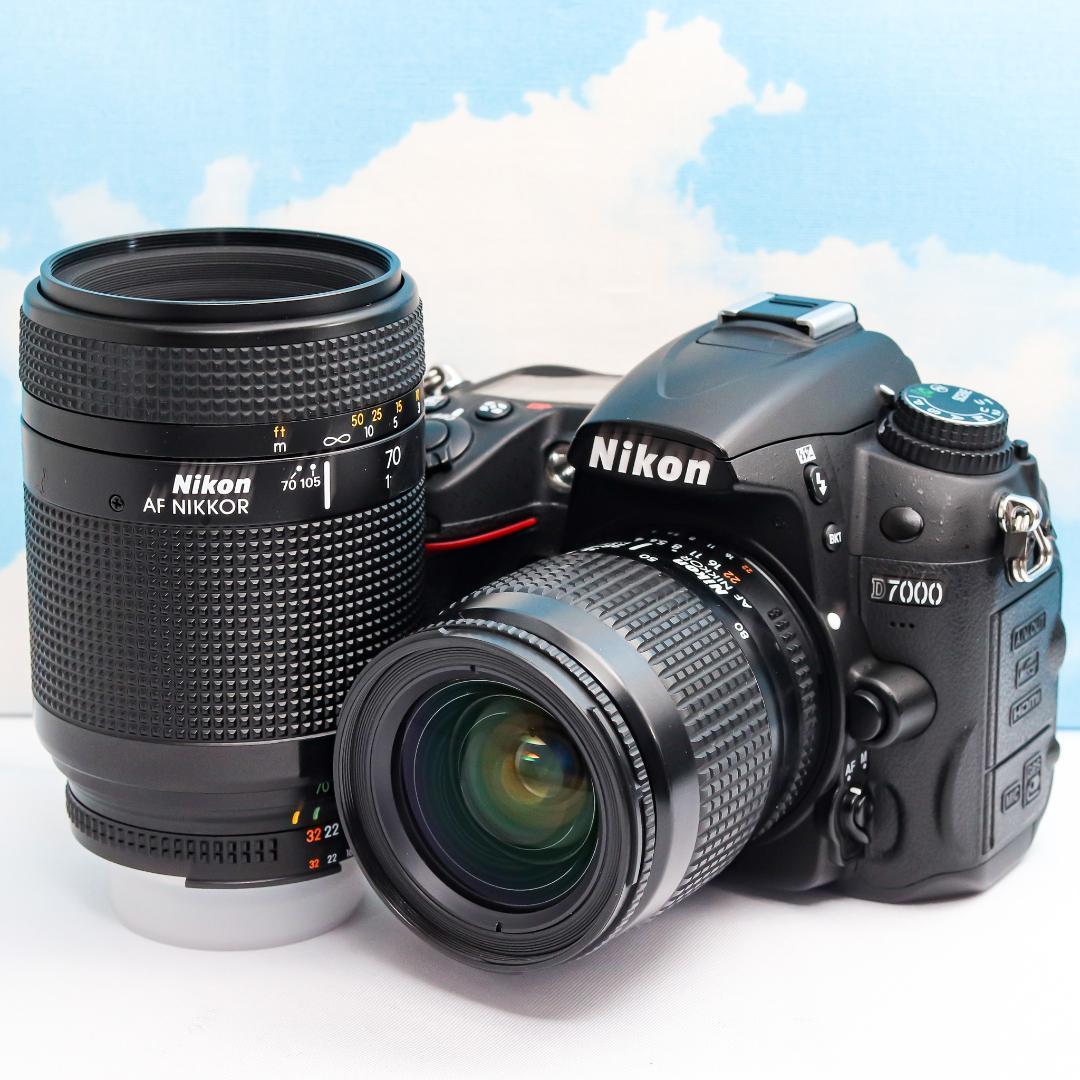 Nikon Digital Slrs D7000