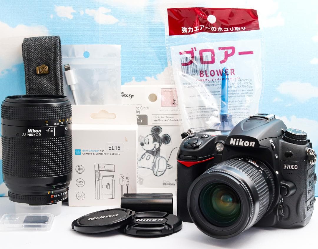 Nikon Digital Slrs D7000