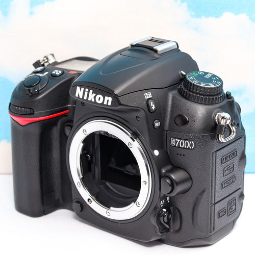 Nikon Digital Slrs D7000