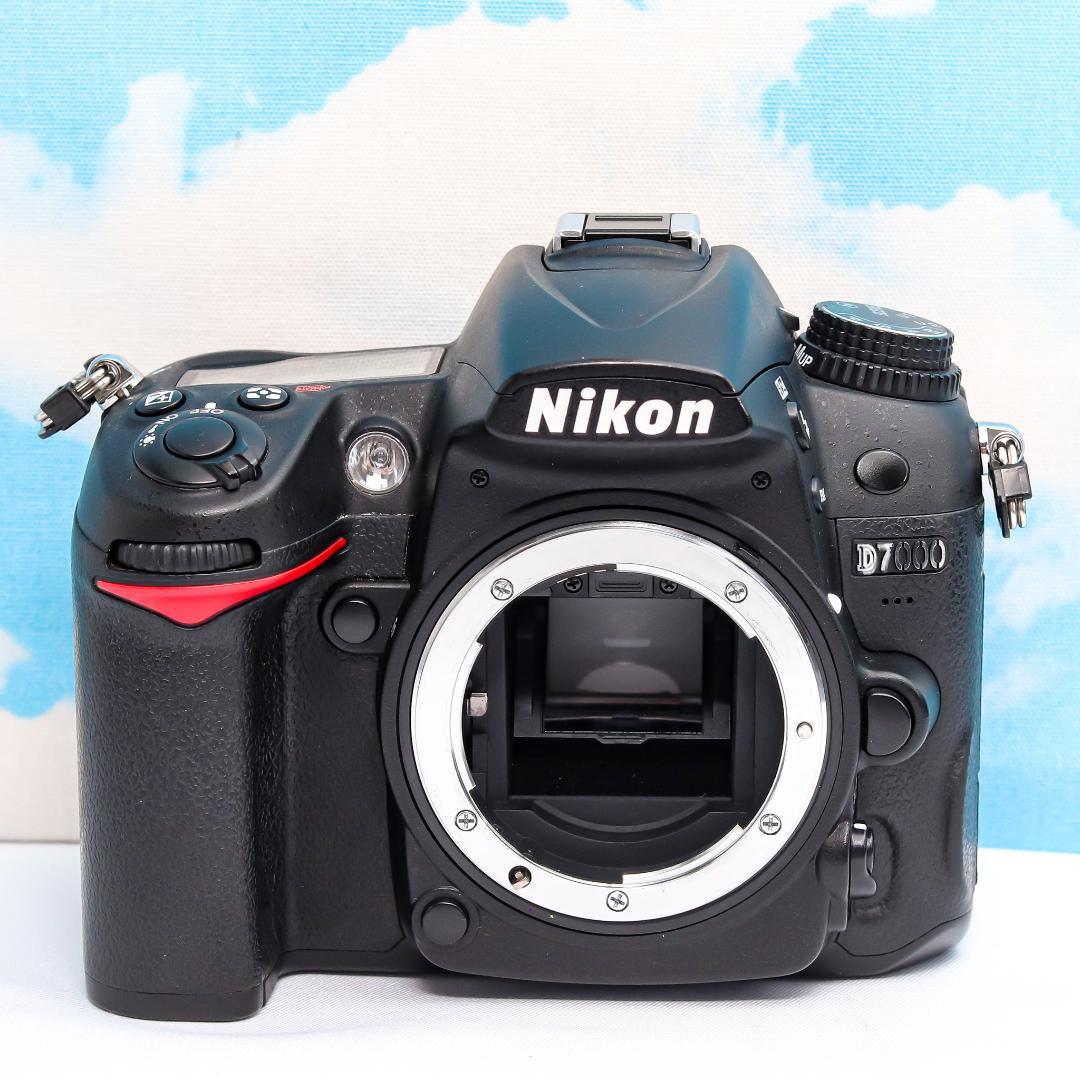 Nikon Digital Slrs D7000