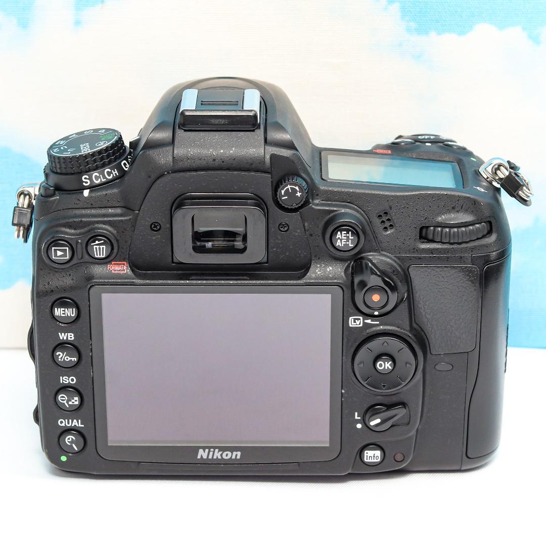 Nikon Digital Slrs D7000