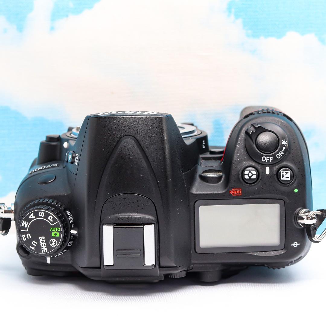 Nikon Digital Slrs D7000