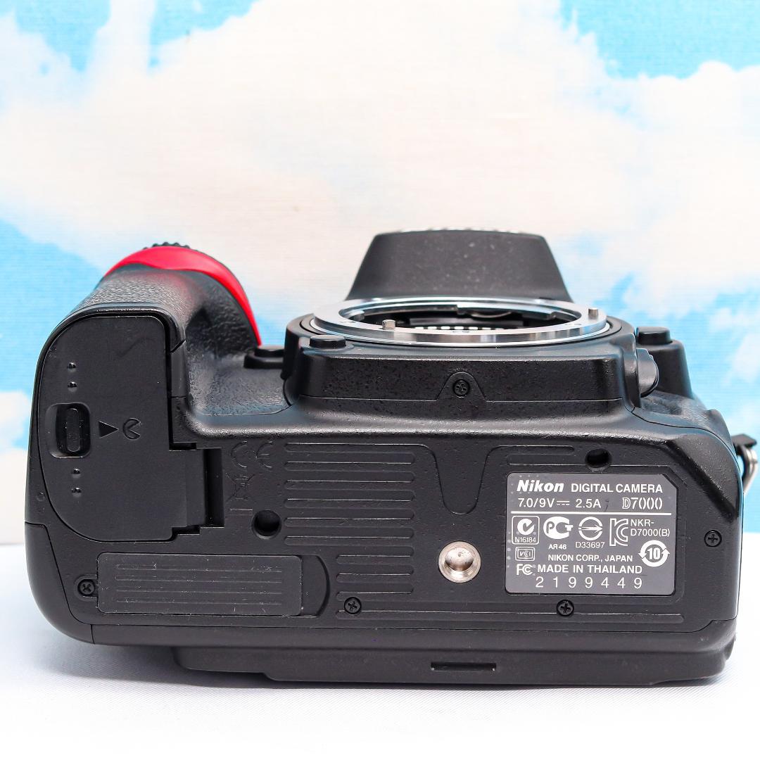Nikon Digital Slrs D7000