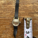 Omega Leather Straps
