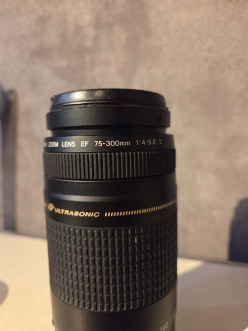 Canon Lens (Zoom) Ef75-300Mm F4-5.6 Ii Usm