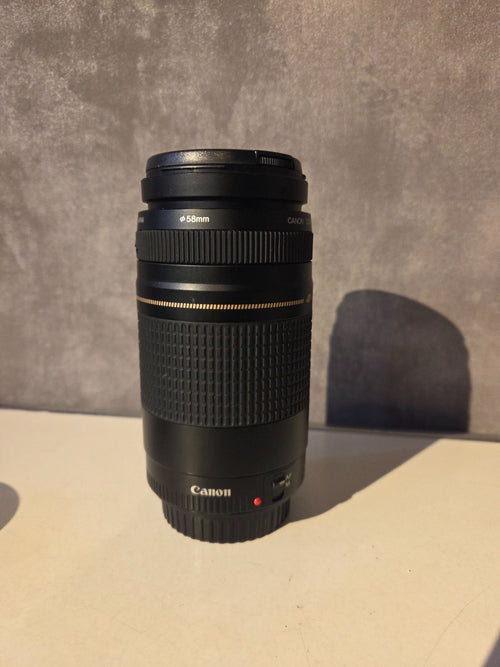 Canon Lens (Zoom) Ef75-300Mm F4-5.6 Ii Usm
