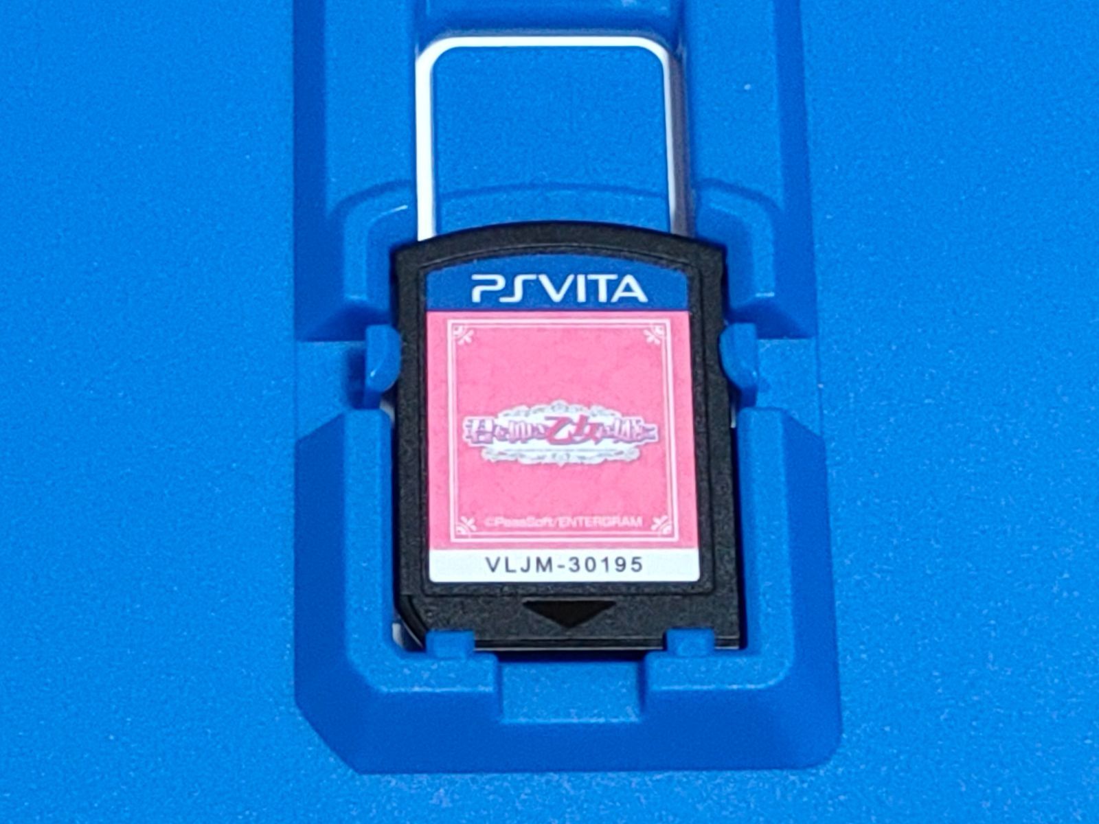 Software (Package Version) Vita