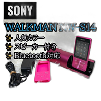 Sony Digital Audio Player Walkman Nw-S14