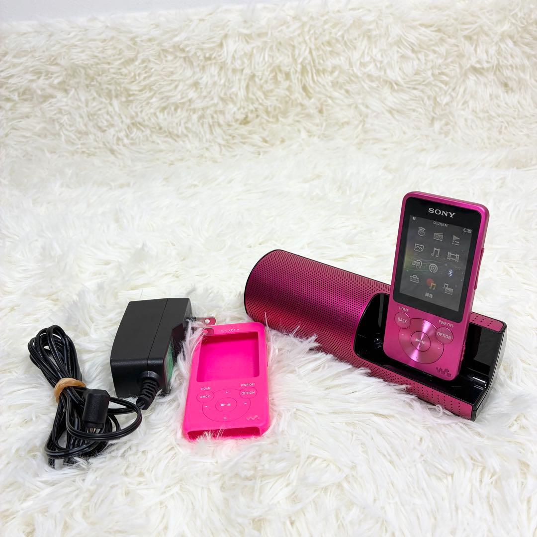 Sony Digital Audio Player Walkman Nw-S14