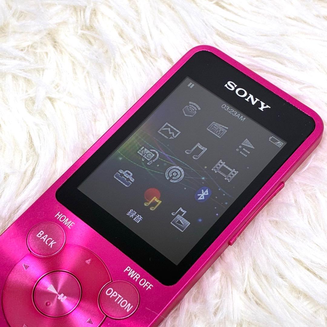 Sony Digital Audio Player Walkman Nw-S14