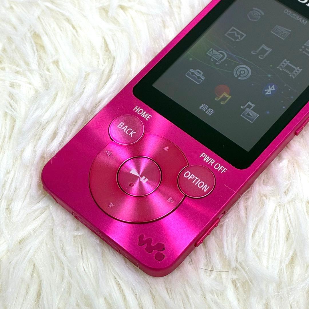 Sony Digital Audio Player Walkman Nw-S14