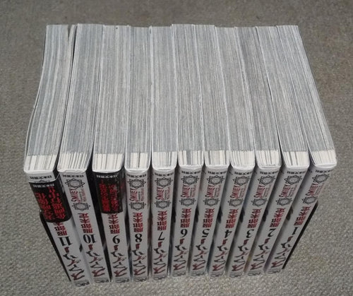 Youth Manga 11