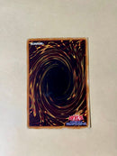 Yu -Gi -Oh! Ocg Duel Monsters