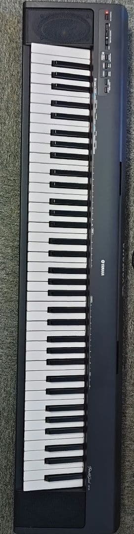 Yamaha Other Np-30 Black
